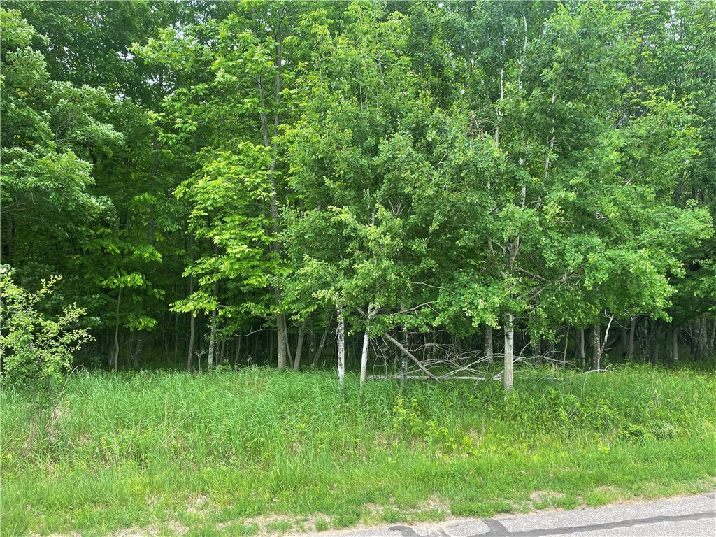 Lot 4 Margaret Lane, Park Falls, WI