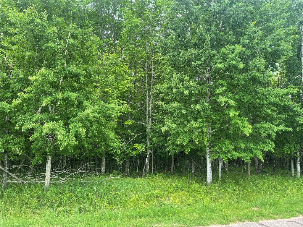 Lot 4 Margaret Lane, Park Falls, WI — photo 2