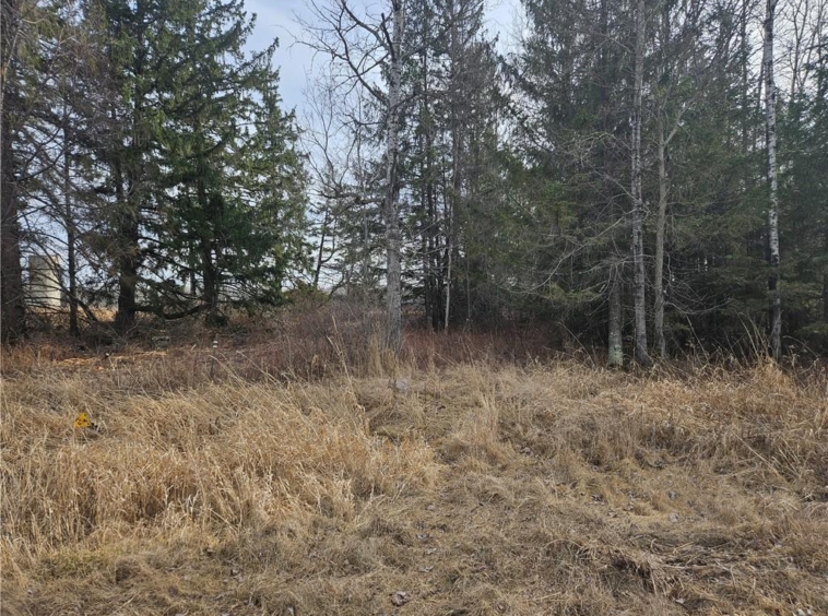 Landhouse for sale picture with an address of  000 County Rd. D  in Jump River and a list price of 22750