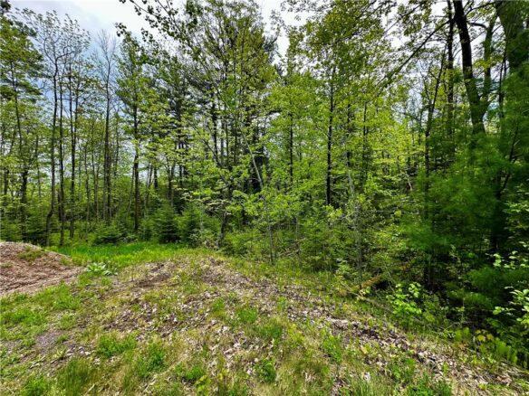 15433 State Highway 178, Jim Falls, WI