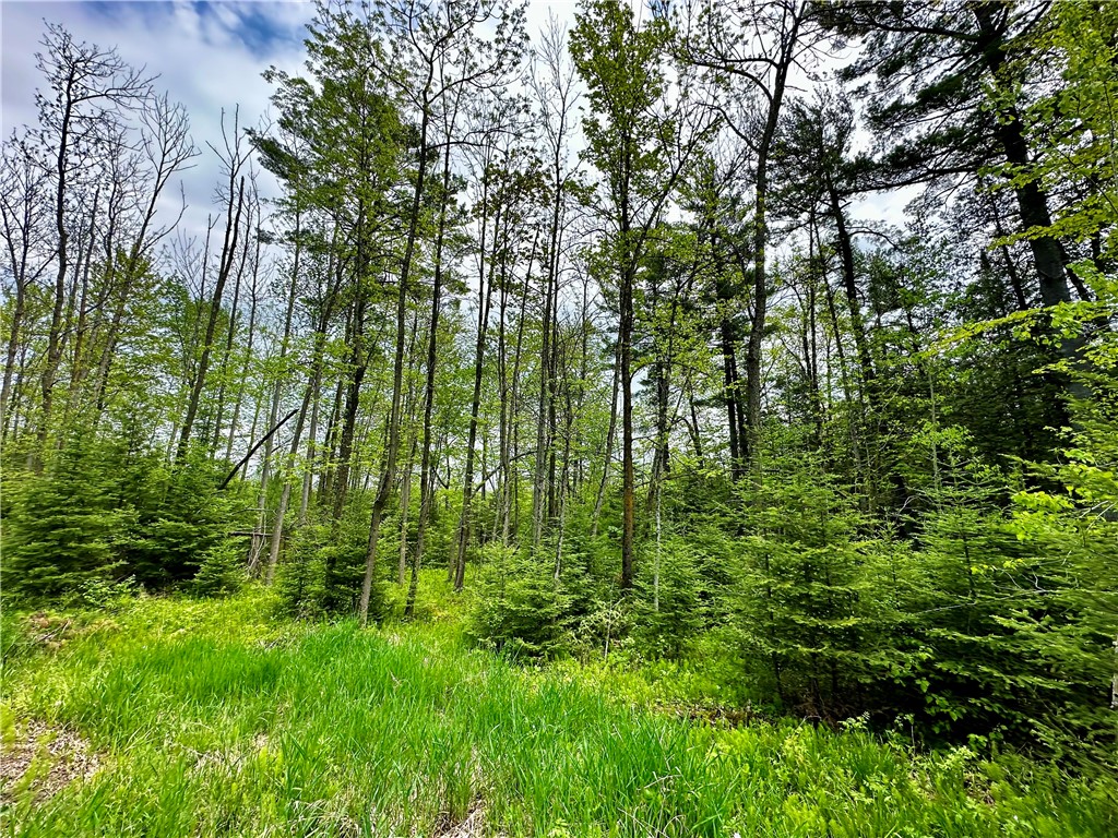 15433 State Highway 178, Jim Falls, WI — photo 5