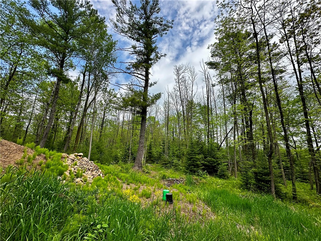 15433 State Highway 178, Jim Falls, WI — photo 6