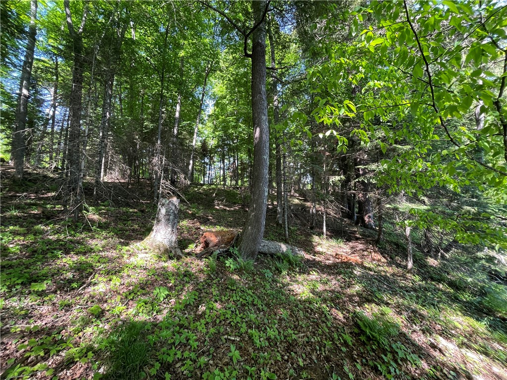 Lot 8 Crane Lane, Hayward, WI — photo 10