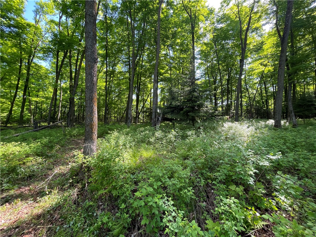 Lot 8 Crane Lane, Hayward, WI — photo 11