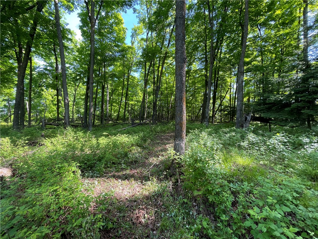 Lot 8 Crane Lane, Hayward, WI — photo 12