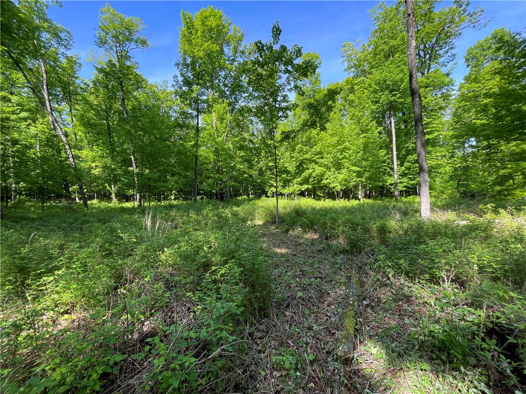 Lot 8 Crane Lane, Hayward, WI — photo 13
