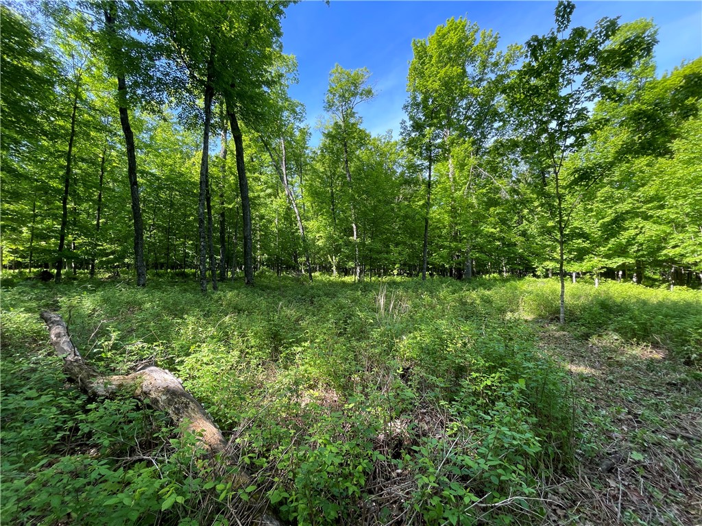 Lot 8 Crane Lane, Hayward, WI — photo 14