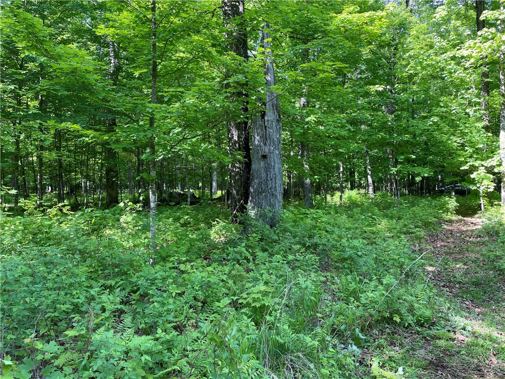Lot 8 Crane Lane, Hayward, WI — photo 15