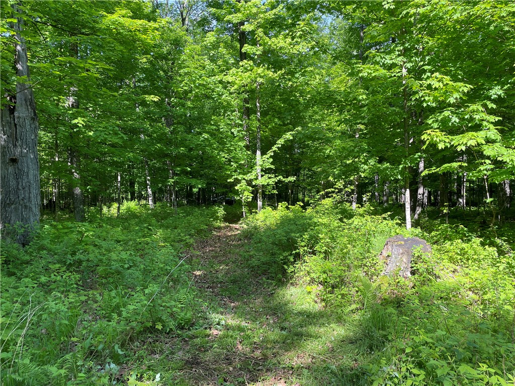 Lot 8 Crane Lane, Hayward, WI — photo 16