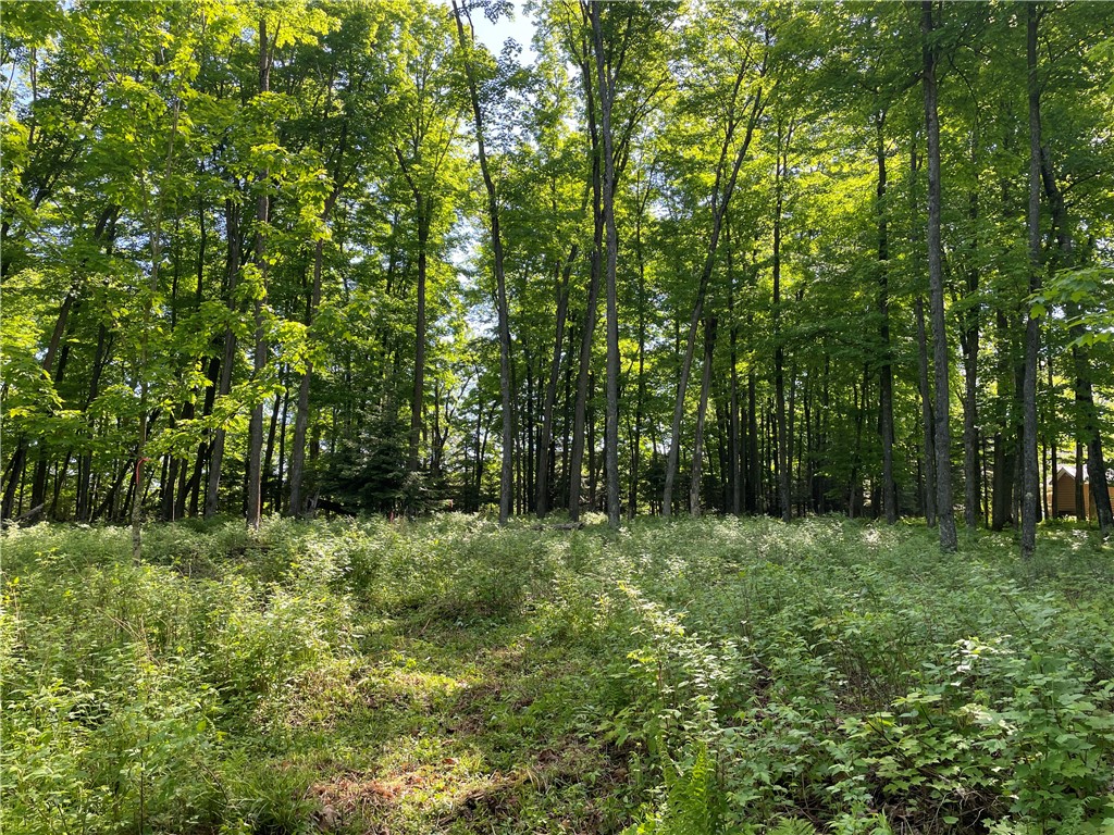 Lot 8 Crane Lane, Hayward, WI — photo 17