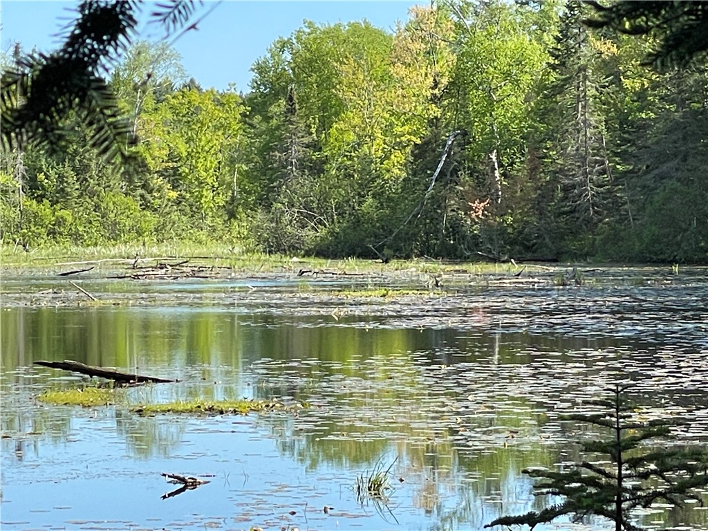 Lot 8 Crane Lane, Hayward, WI — photo 19