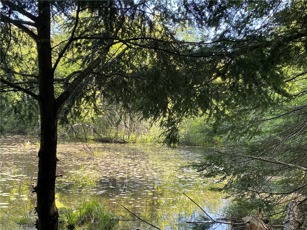 Lot 8 Crane Lane, Hayward, WI — photo 21