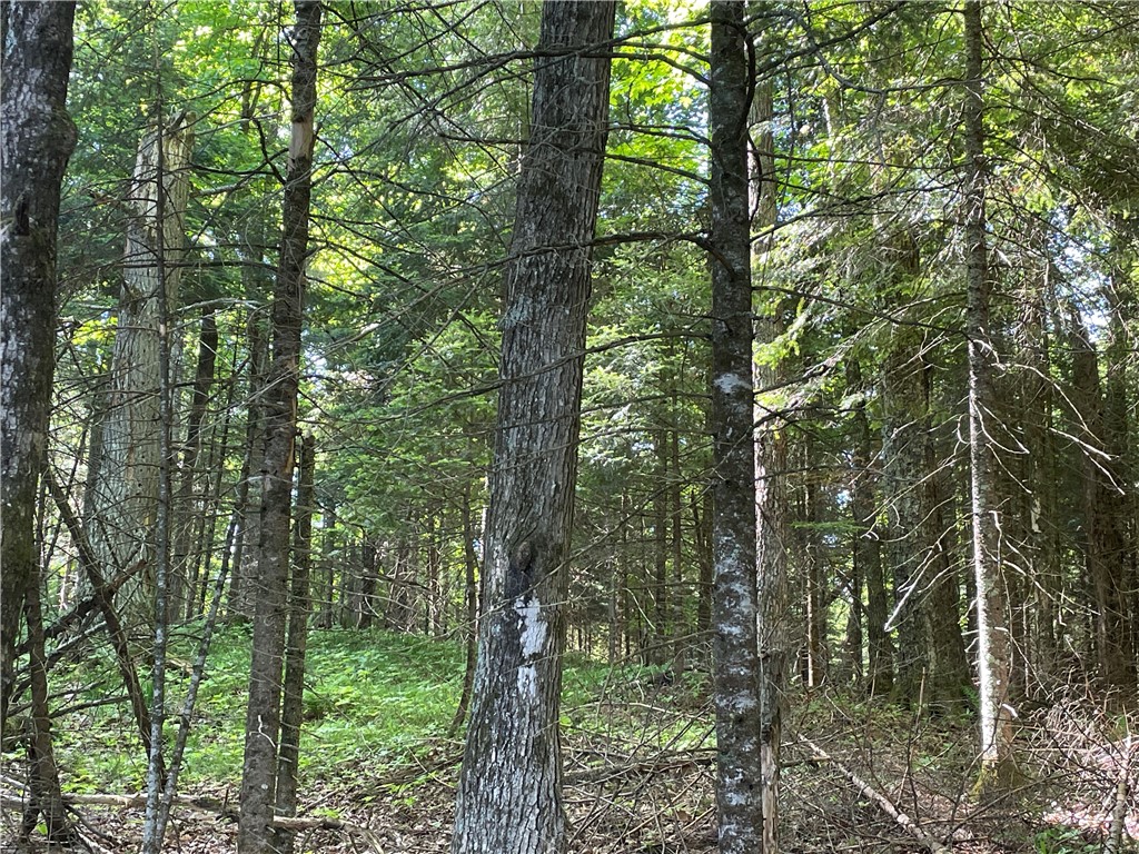 Lot 8 Crane Lane, Hayward, WI — photo 23