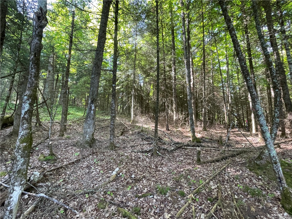 Lot 8 Crane Lane, Hayward, WI — photo 24