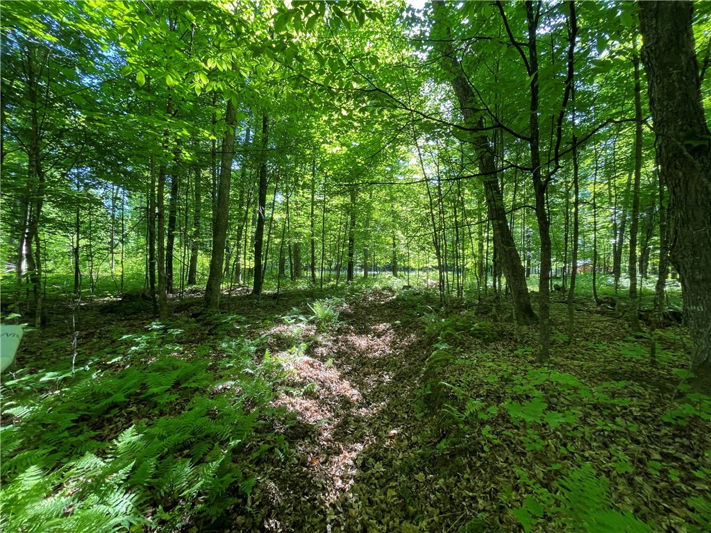 Lot 8 Crane Lane, Hayward, WI — photo 26