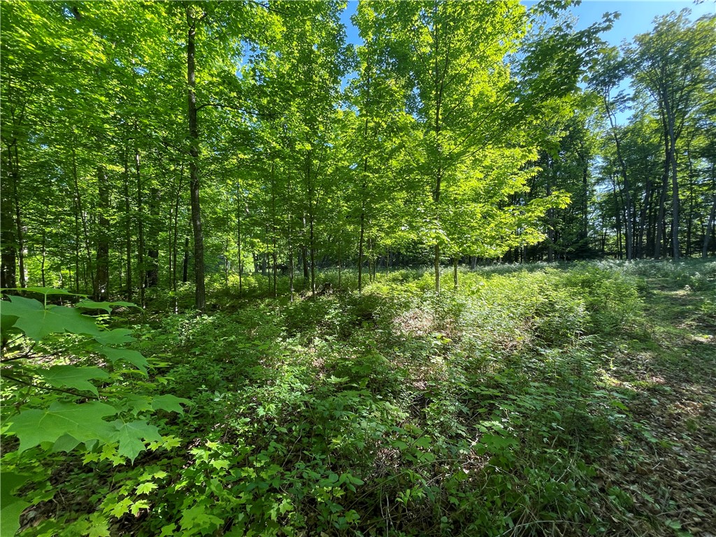 Lot 8 Crane Lane, Hayward, WI — photo 27