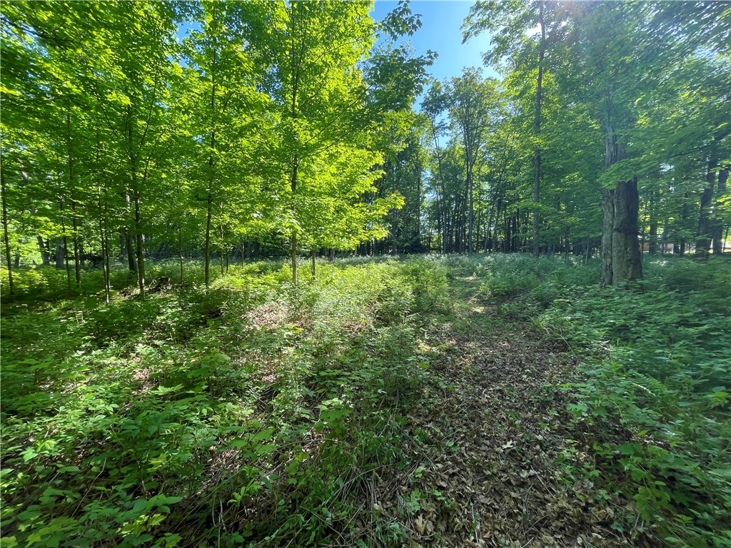 Lot 8 Crane Lane, Hayward, WI — photo 28