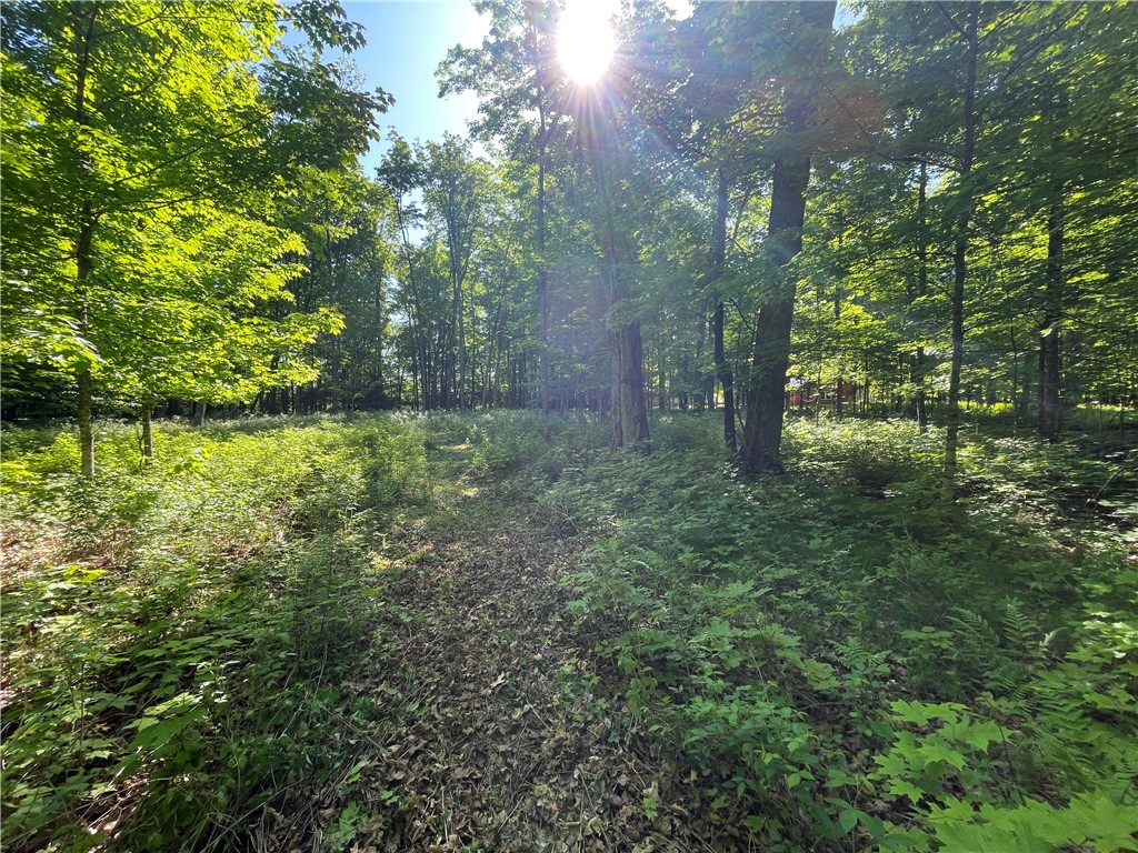 Lot 8 Crane Lane, Hayward, WI — photo 29