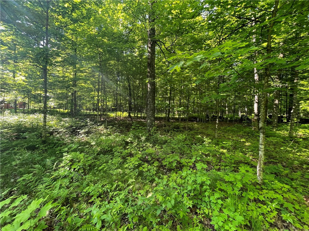Lot 8 Crane Lane, Hayward, WI — photo 30
