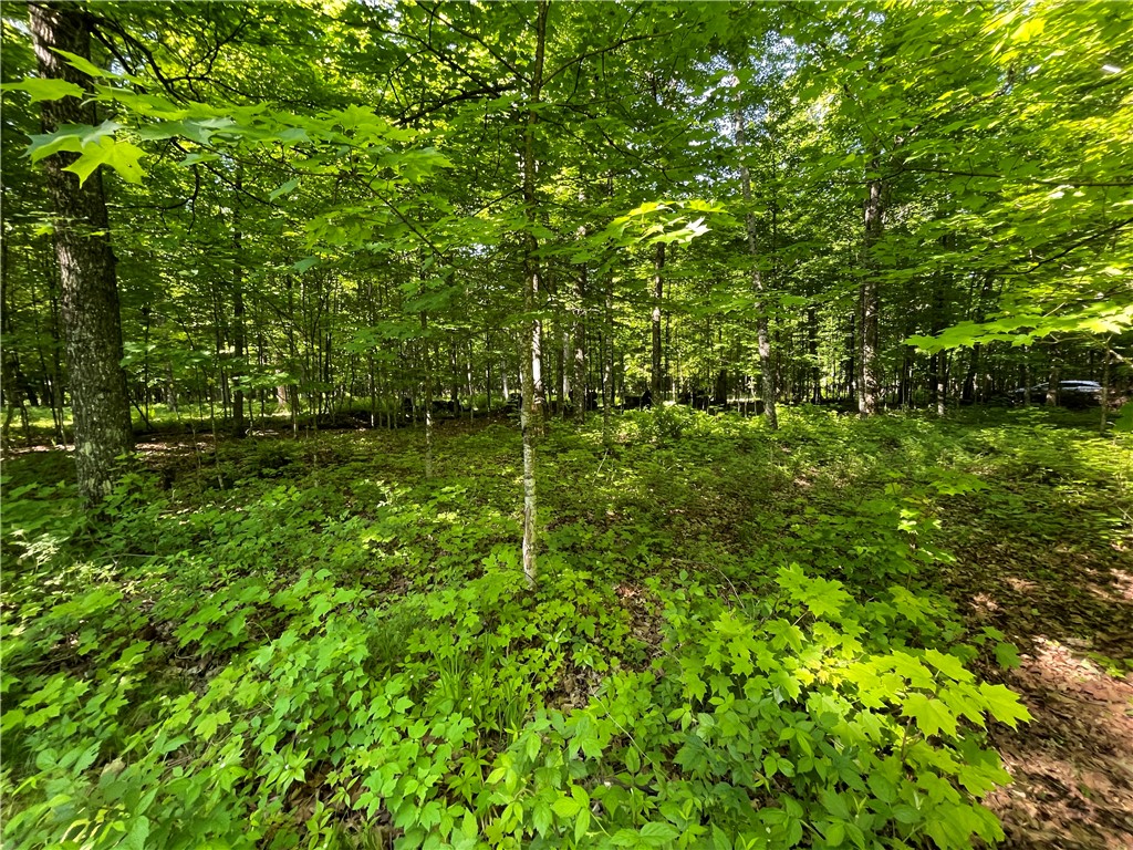 Lot 8 Crane Lane, Hayward, WI — photo 31