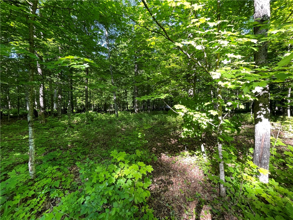 Lot 8 Crane Lane, Hayward, WI — photo 32
