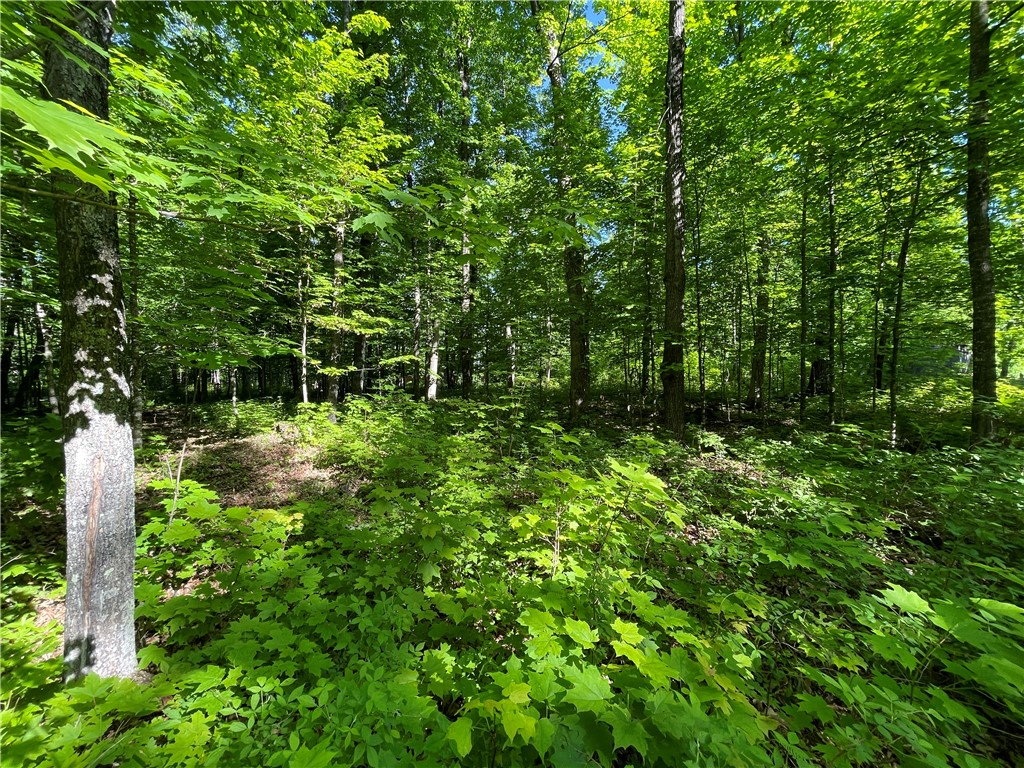 Lot 8 Crane Lane, Hayward, WI — photo 33