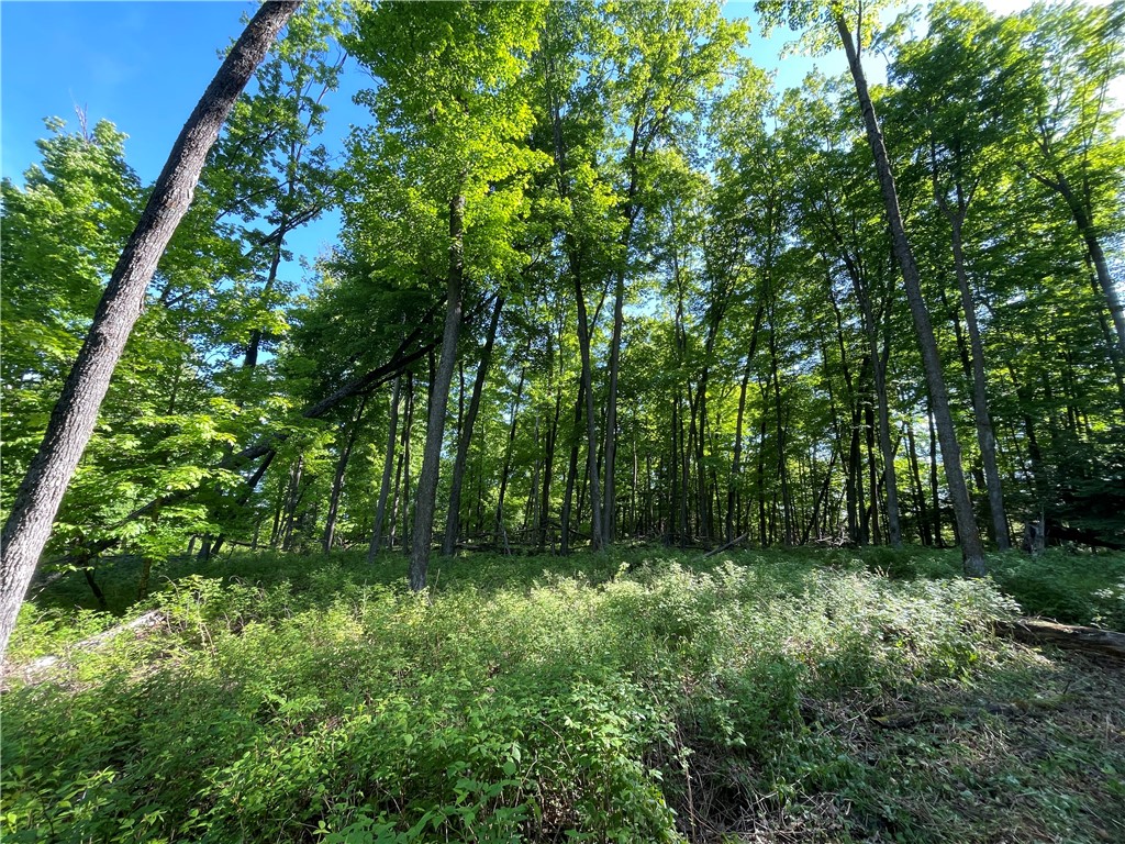 Lot 8 Crane Lane, Hayward, WI — photo 34