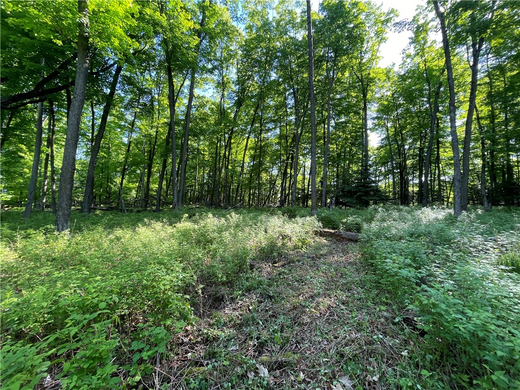 Lot 8 Crane Lane, Hayward, WI — photo 35