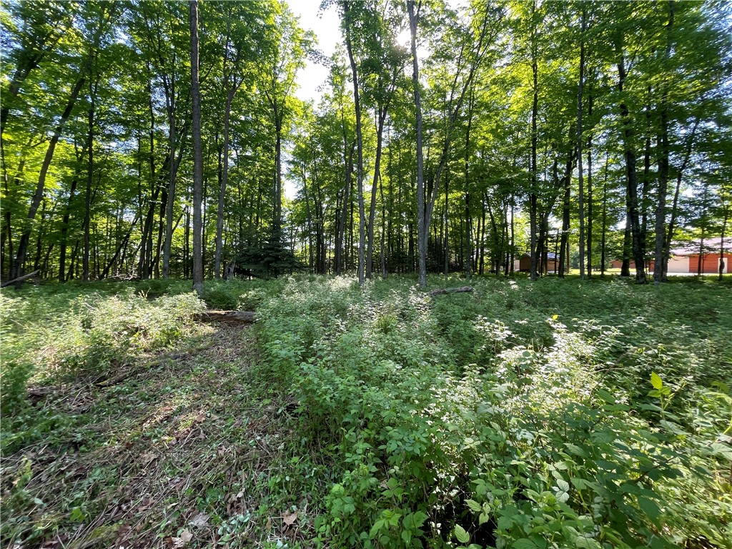 Lot 8 Crane Lane, Hayward, WI — photo 36