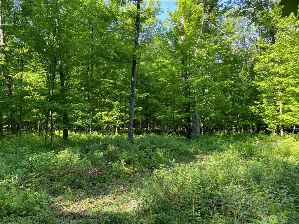 Lot 8 Crane Lane, Hayward, WI — photo 37