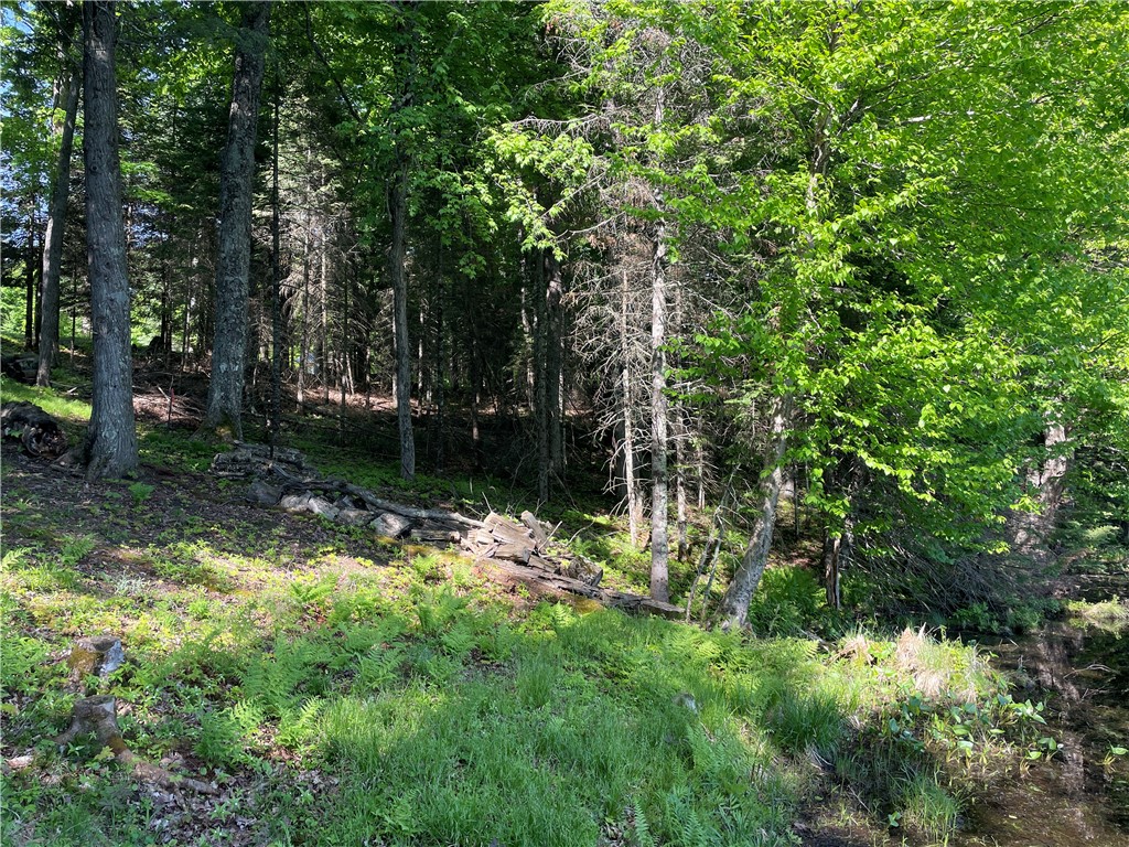 Lot 8 Crane Lane, Hayward, WI — photo 7