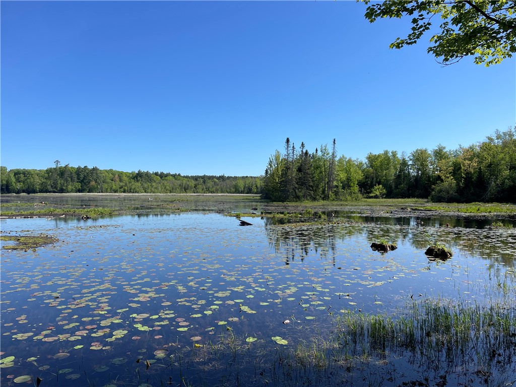 Lot 8 Crane Lane, Hayward, WI — photo 8