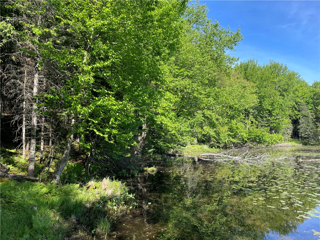 Lot 8 Crane Lane, Hayward, WI — photo 9