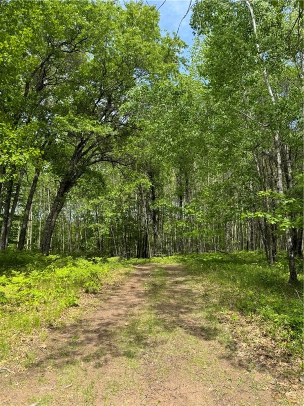 Land at Lot 141 Eagle Drive, Danbury, WI 54830 — photo 14