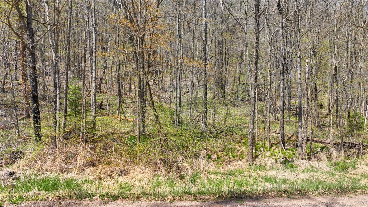 3.91 Acres N Gueldner Lane, Exeland, WI — photo 4