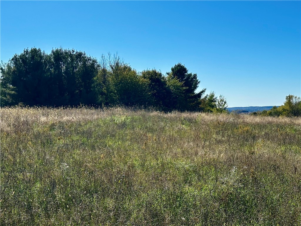 Lot 2 180th Street, Chippewa Falls, WI — photo 11