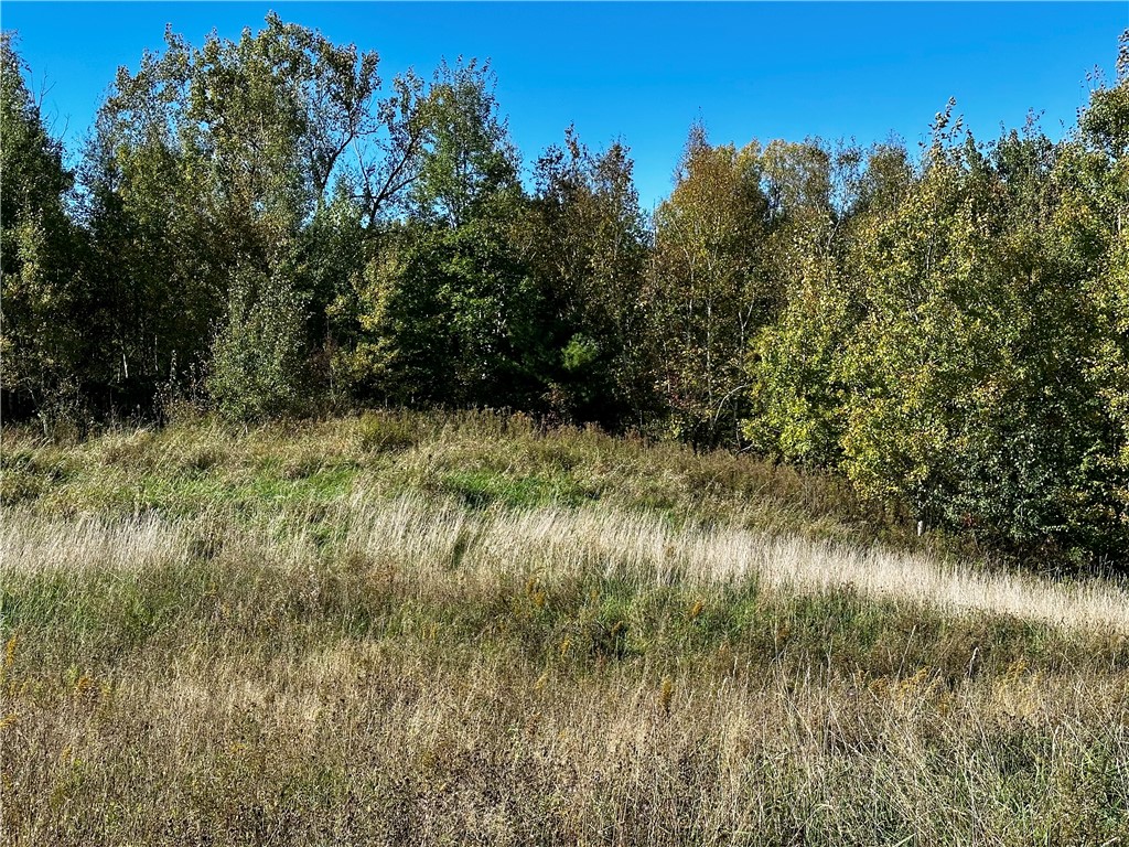 Lot 2 180th Street, Chippewa Falls, WI — photo 15