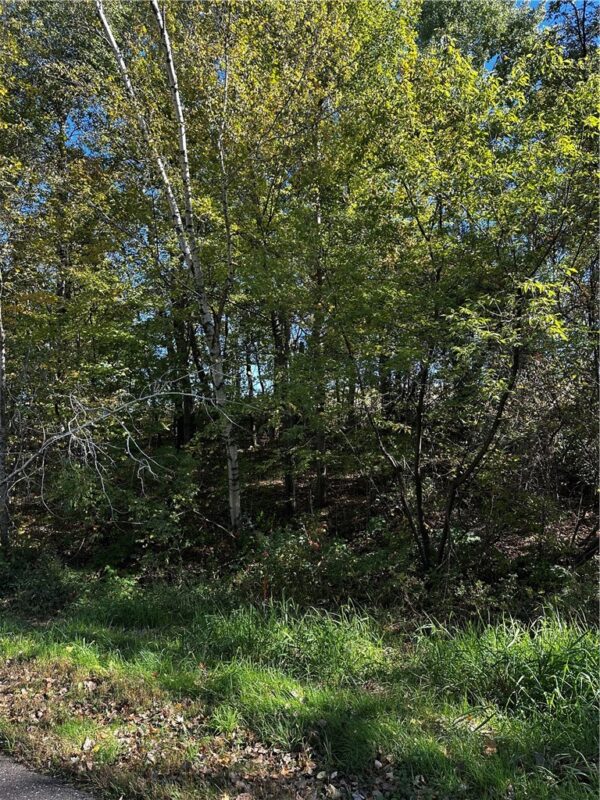 Lot 2 180th Street, Chippewa Falls, WI — photo 33