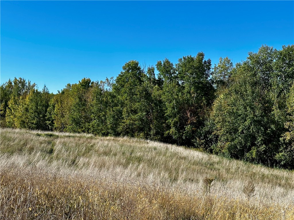 Lot 2 180th Street, Chippewa Falls, WI — photo 36