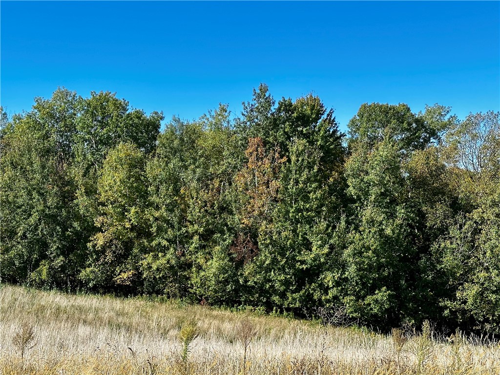 Lot 2 180th Street, Chippewa Falls, WI — photo 37