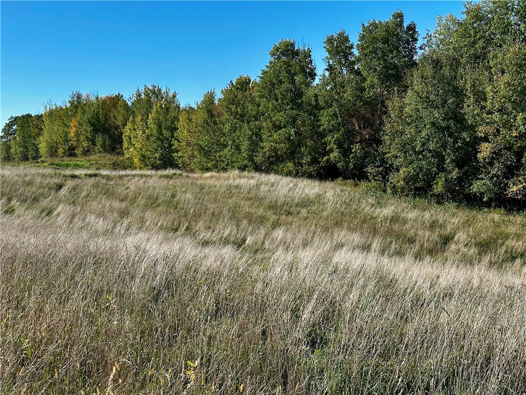 Lot 2 180th Street, Chippewa Falls, WI — photo 40