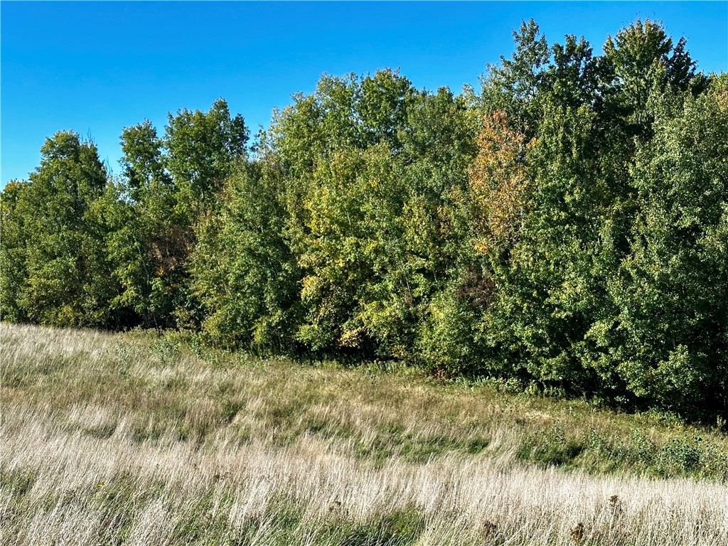Lot 2 180th Street, Chippewa Falls, WI — photo 47