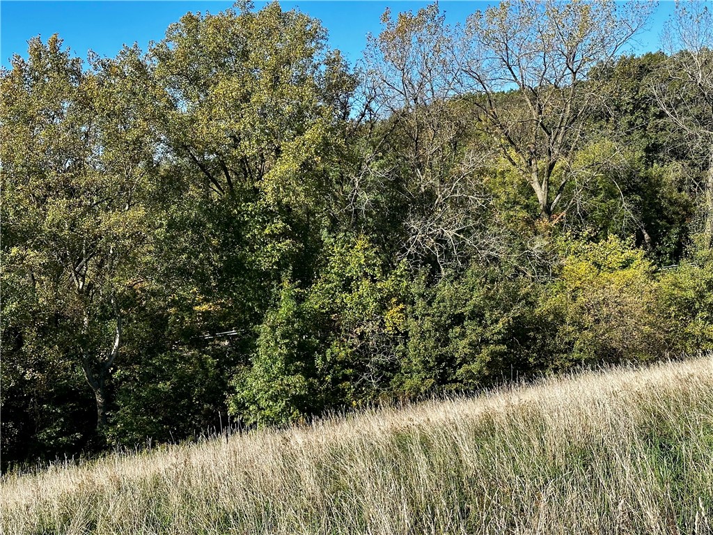 Lot 2 180th Street, Chippewa Falls, WI — photo 49