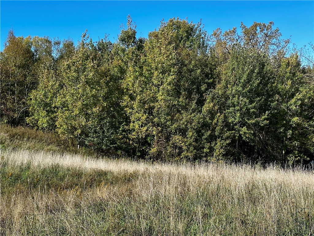 Lot 2 180th Street, Chippewa Falls, WI — photo 6