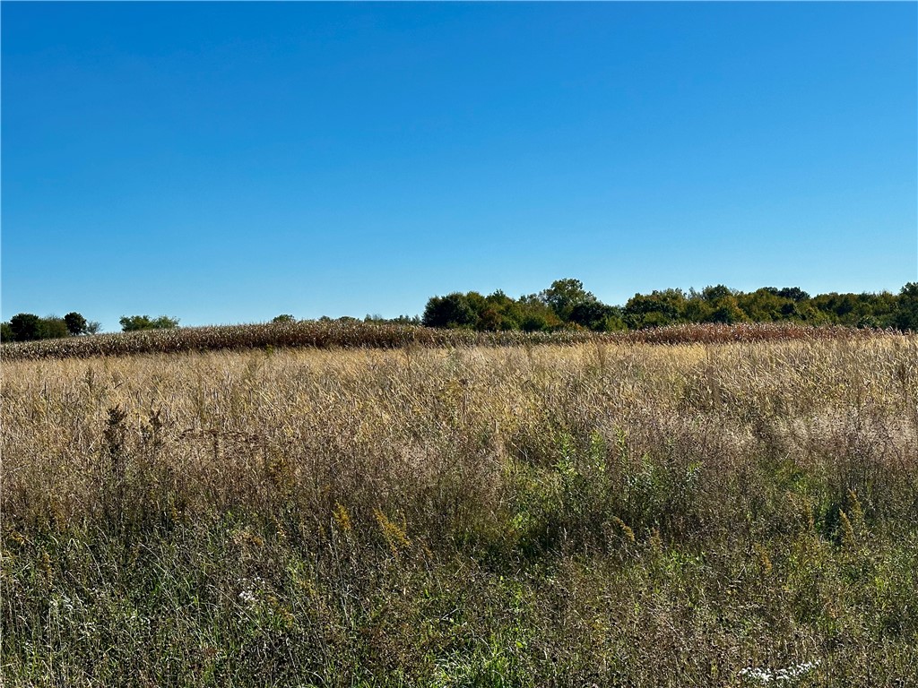 Lot 2 180th Street, Chippewa Falls, WI — photo 8