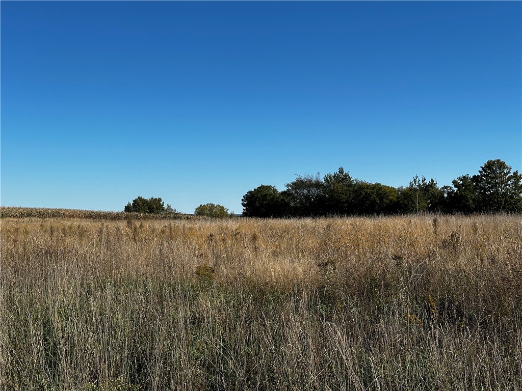 Lot 3 180th Street, Chippewa Falls, WI — photo 16