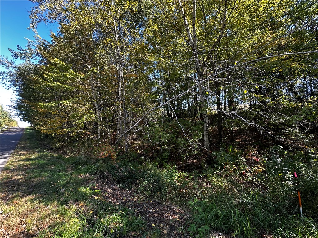 Lot 3 180th Street, Chippewa Falls, WI — photo 22