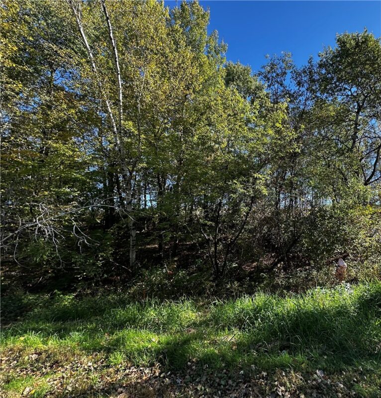 Lot 3 180th Street, Chippewa Falls, WI — photo 23