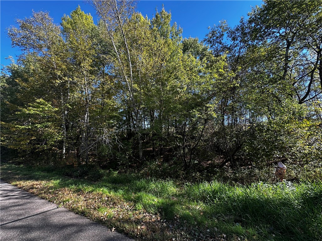 Lot 3 180th Street, Chippewa Falls, WI — photo 24