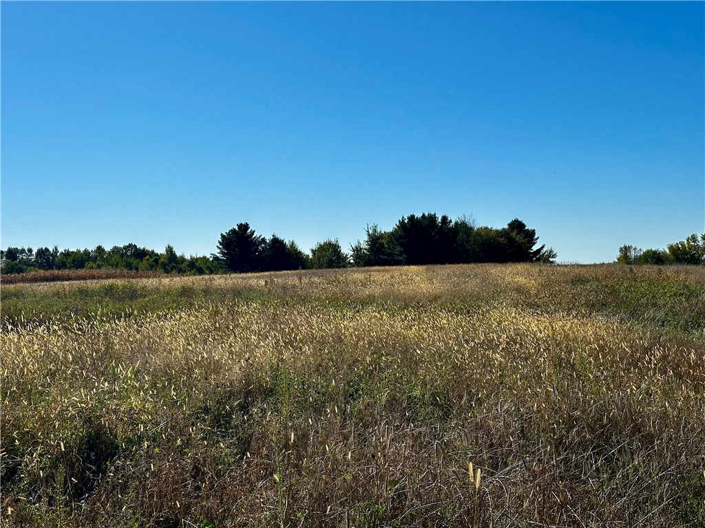 Lot 3 180th Street, Chippewa Falls, WI — photo 25